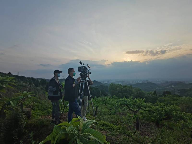创意破圈！达州电商产品宣传视频用故事化叙事引爆流量