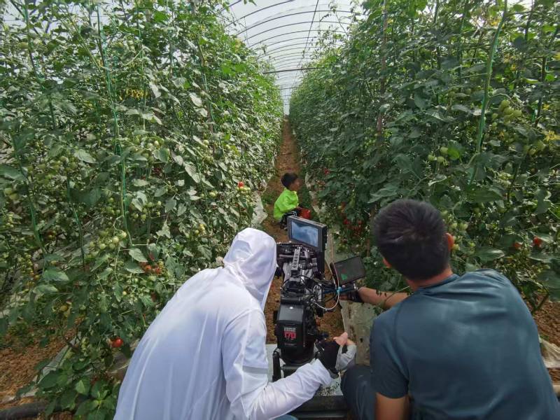 达州产品宣传视频拍摄公司进阶指南，助力品牌抢占传播高地